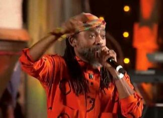 machel-in-india-performance