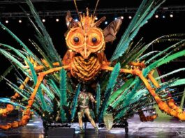 Trinidad-king-of-the-carnival-2022-pantheon-exhibit