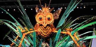 Trinidad-king-of-the-carnival-2022-pantheon-exhibit