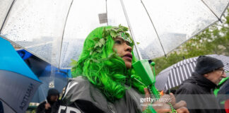 marijuana-rally-new-york