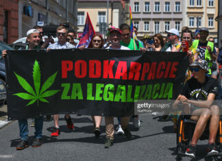 poland-marijuana