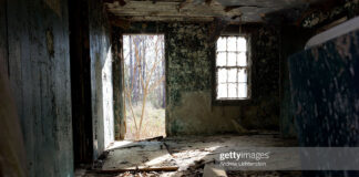 south-carolina-slave-cabins-where-caribbean-slaves-once-lived