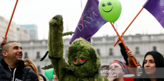 chile-marijuana