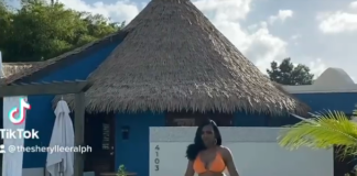 sheryl-lee-ralph-bikini