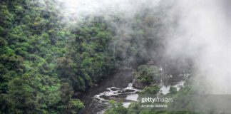 guyana-kaiteur-falls