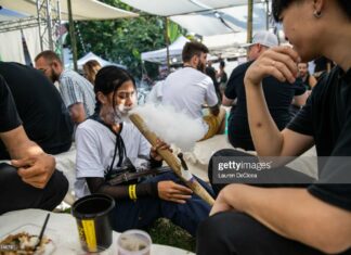 marijuana-festival-thailand