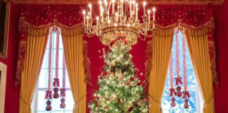 white-house-christmas-tree