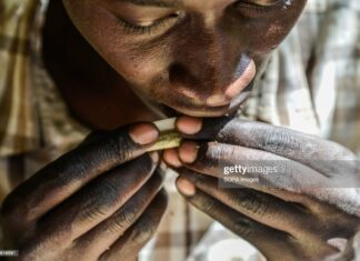 rolling-weed-kenya