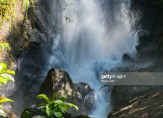 dominica