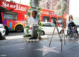 harry-belafonte-gets-cuny-scholarship