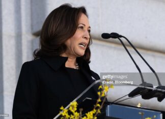 kamala-harris-immigration-czar