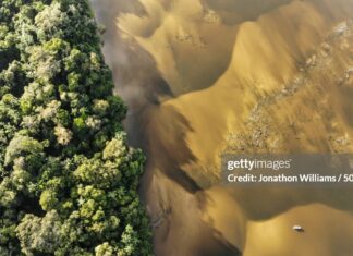 guyana-essequibo-river