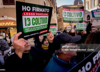 italy-cannabis