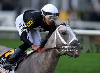 caribbean-jockey-jamie-torress-heads-to-belmont