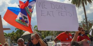 haitians-protest-trump-pets-comment