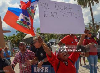 haitians-protest-trump-pets-comment