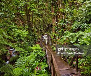 windwards-islands-dominica