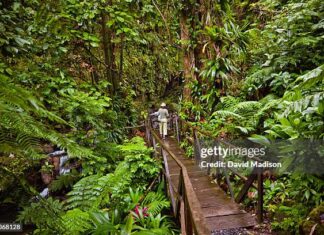 windwards-islands-dominica