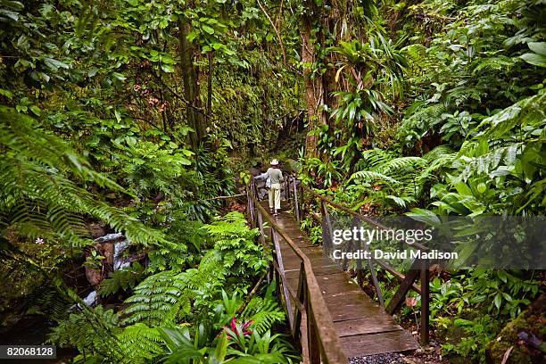 windwards-islands-dominica